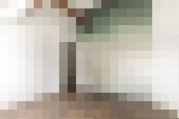 Lorentzkade 346 Haarlem thumbnail 24