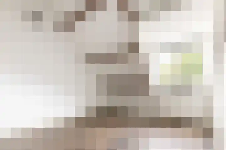 Lorentzkade 346 Haarlem thumbnail 28