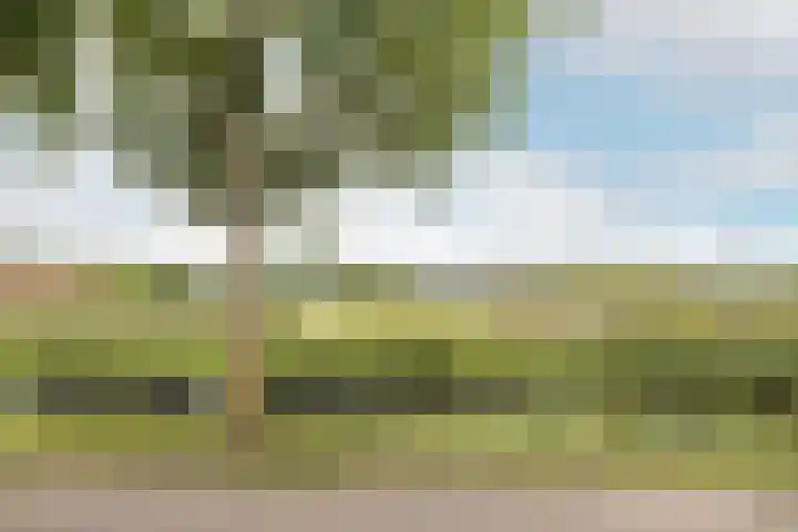 Lorentzkade 346 Haarlem thumbnail 32