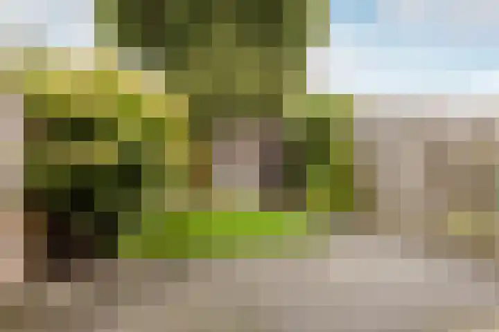 Lorentzkade 346 Haarlem thumbnail 33