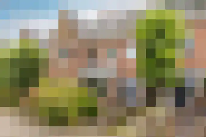 Lorentzkade 346 Haarlem thumbnail 34