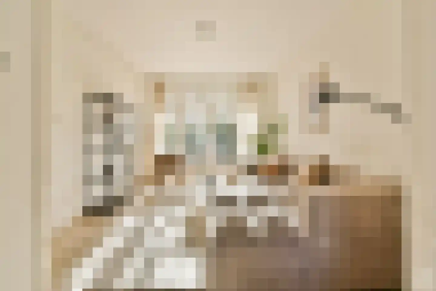 Lorentzkade 380 Haarlem thumbnail 11