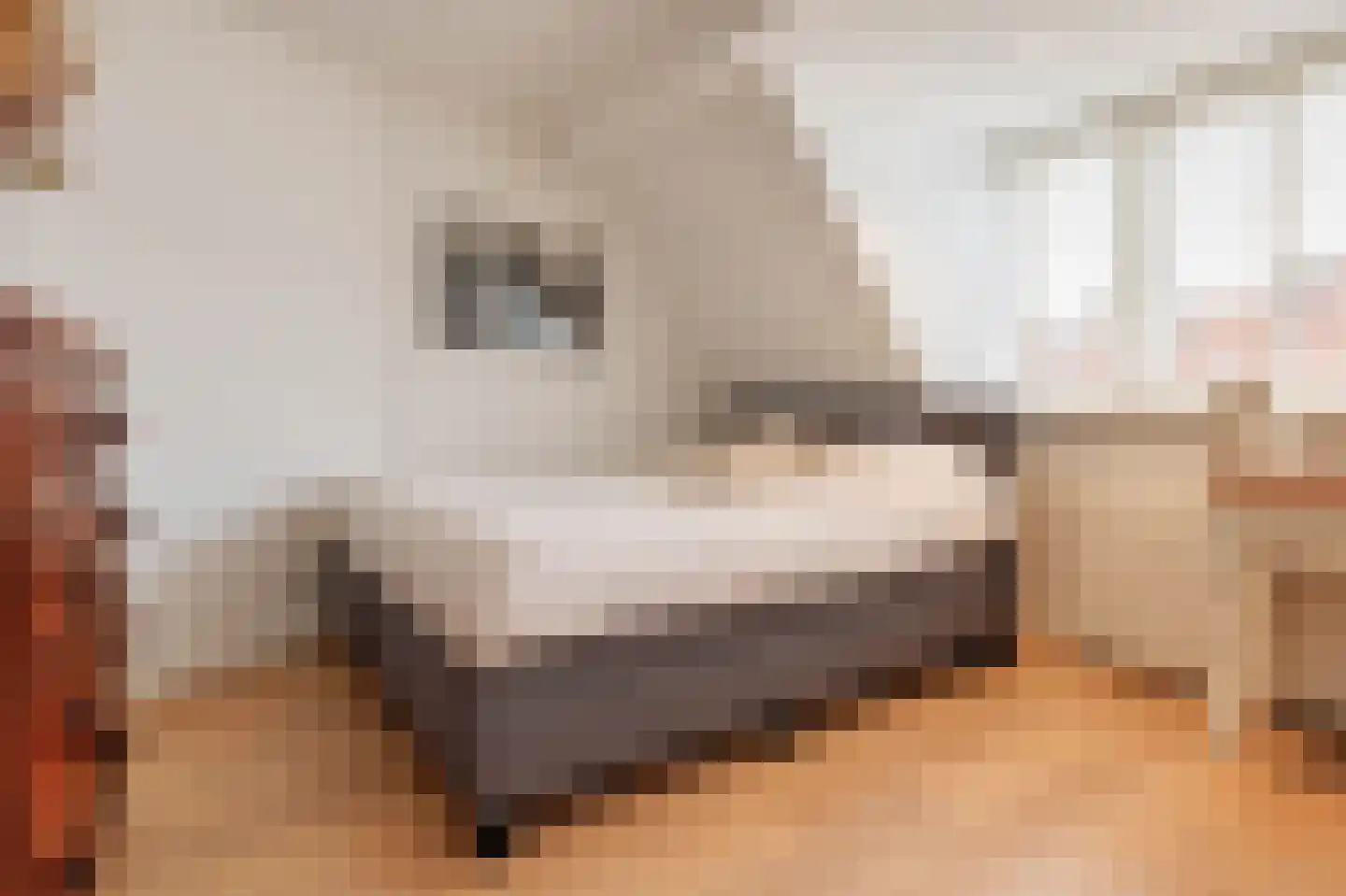 Lorentzkade 4 Leiden thumbnail 36