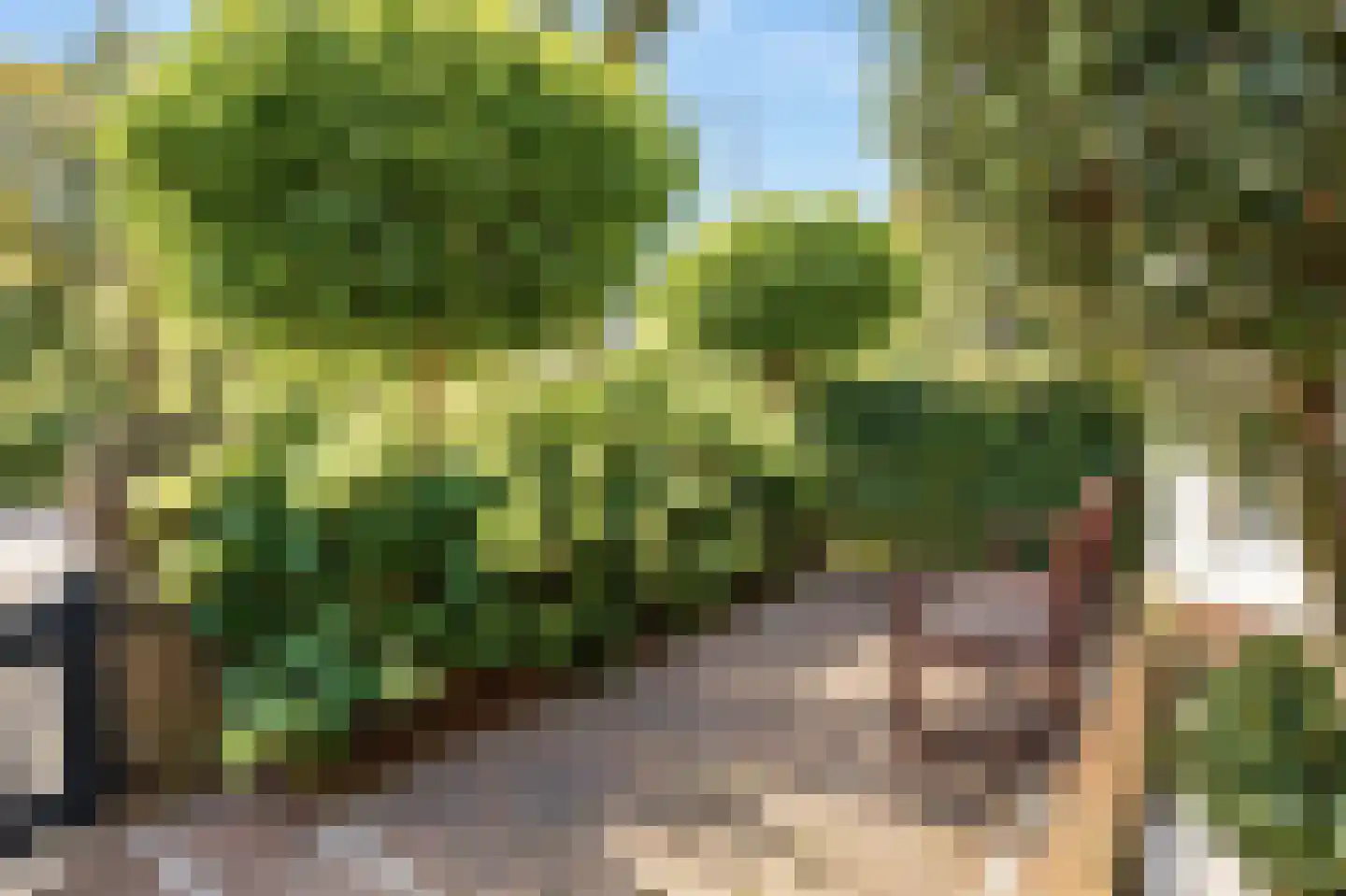 Lorentzkade 4 Leiden thumbnail 47
