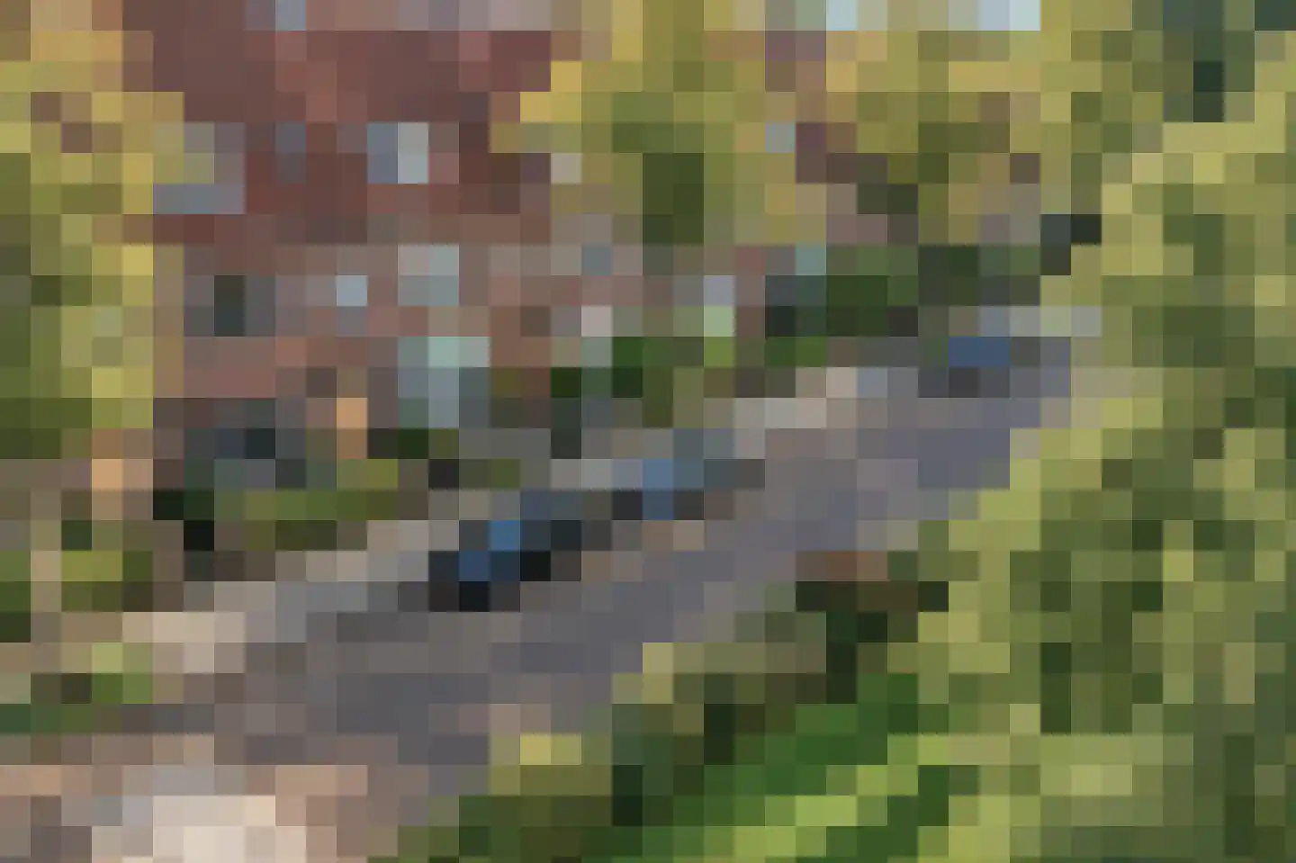 Lorentzkade 4 Leiden thumbnail 50