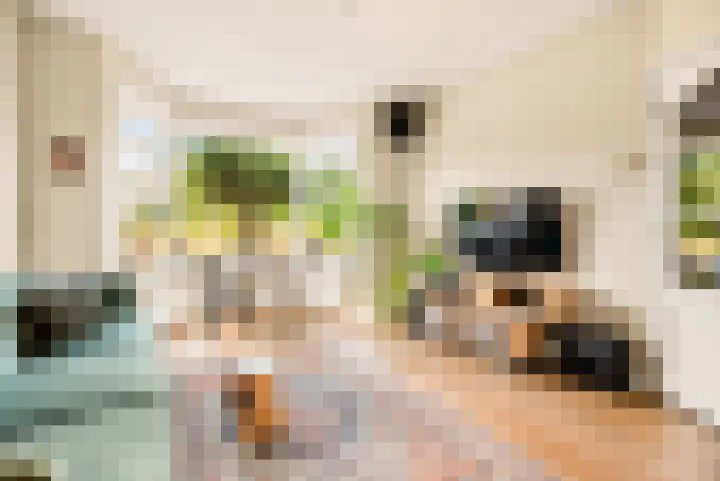 Lorentzkade 82 Haarlem thumbnail 14