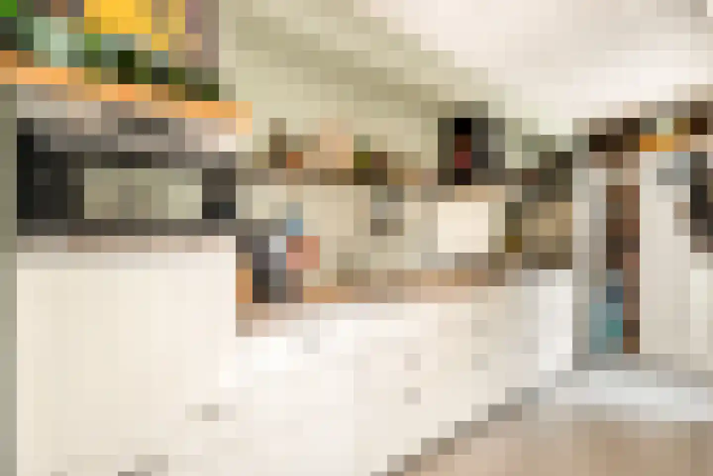Lorentzkade 82 Haarlem thumbnail 27