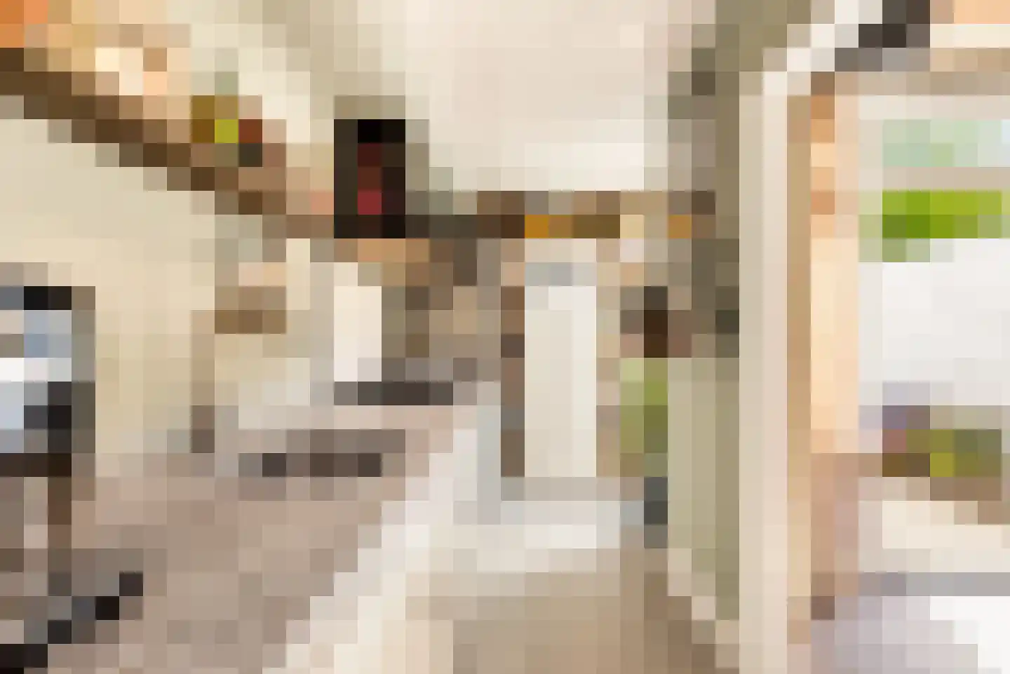 Lorentzkade 82 Haarlem thumbnail 28