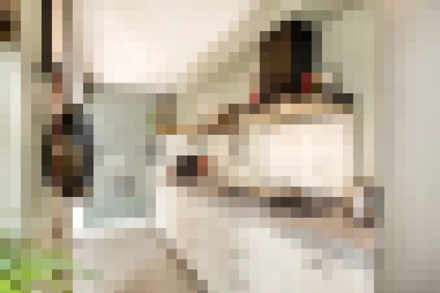 Lorentzkade 82 Haarlem thumbnail 31