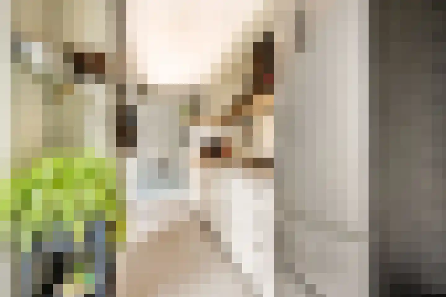 Lorentzkade 82 Haarlem thumbnail 33