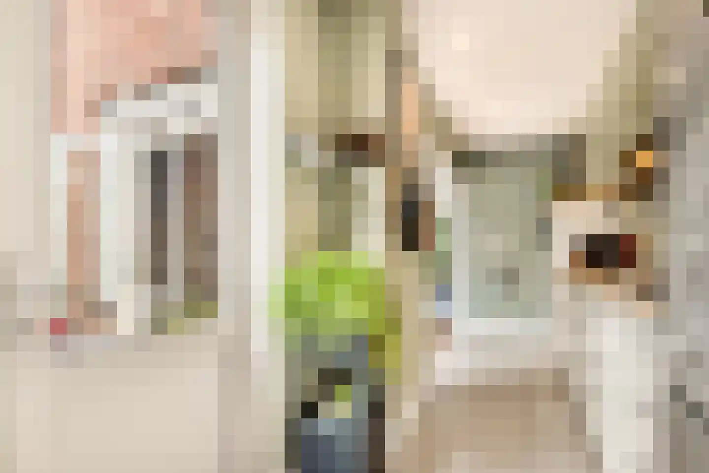 Lorentzkade 82 Haarlem thumbnail 34