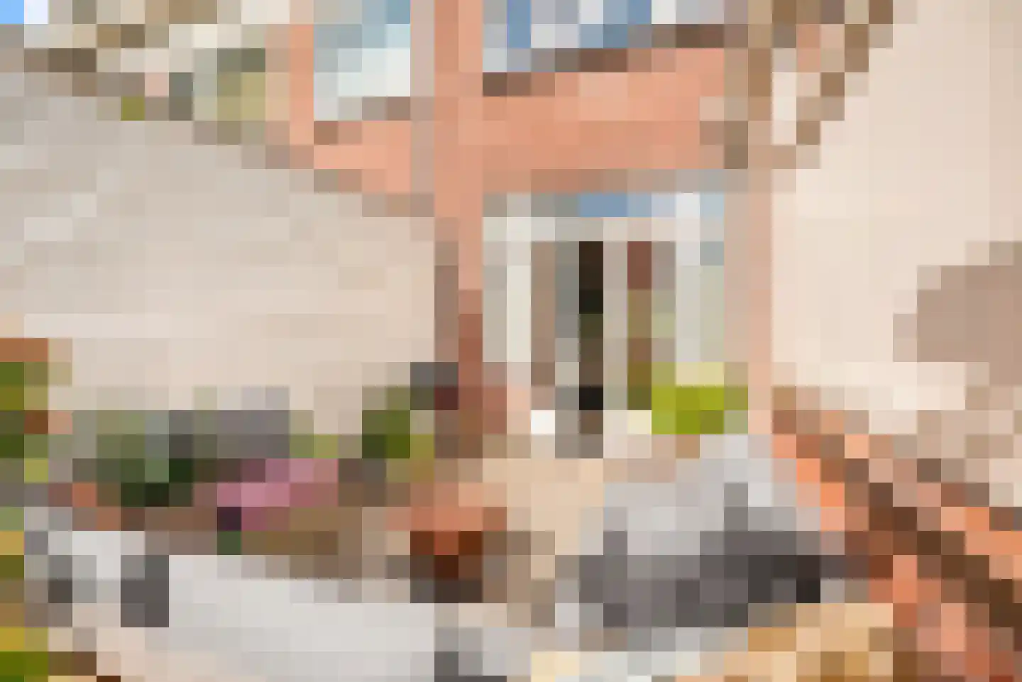 Lorentzkade 82 Haarlem thumbnail 41