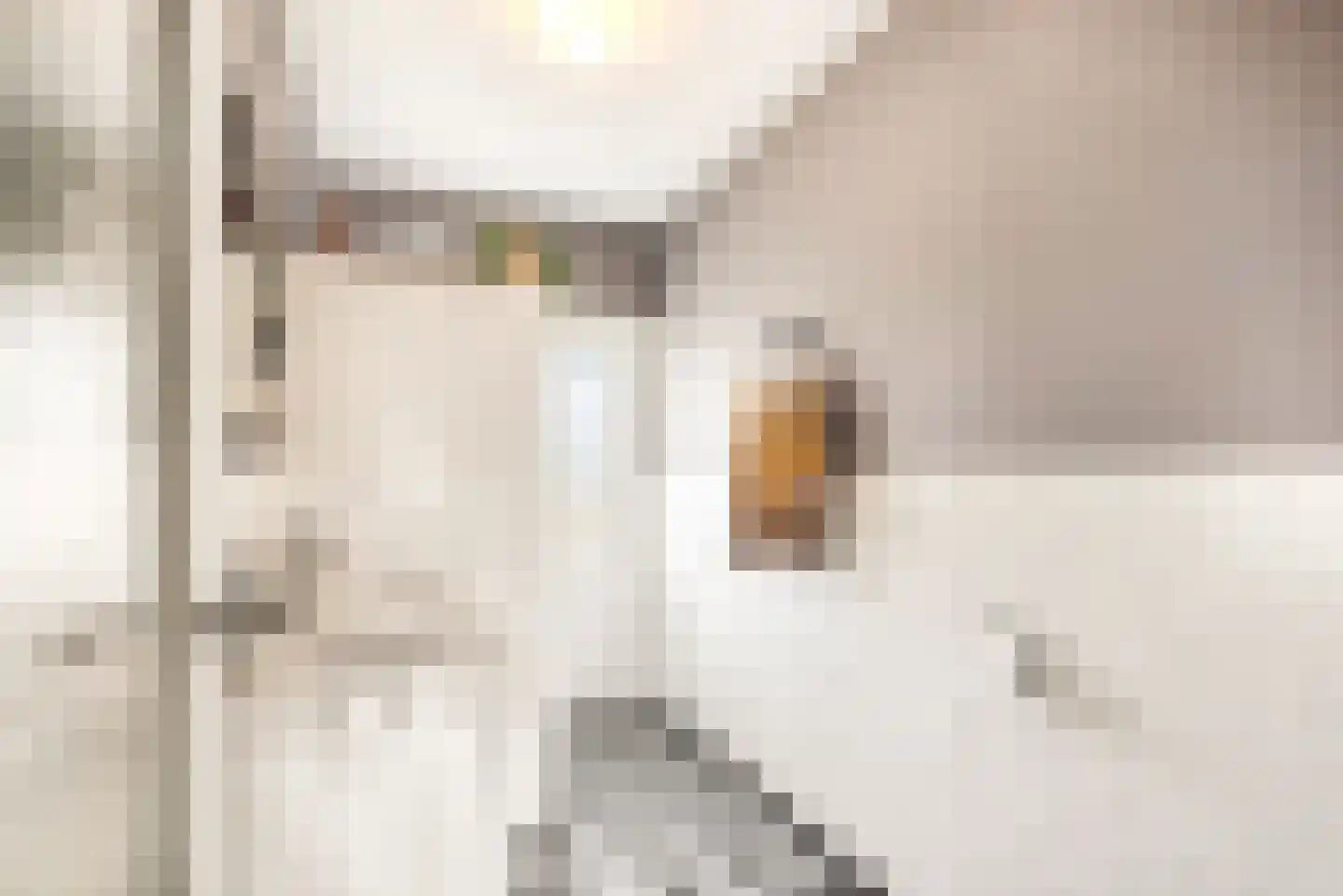 Lorentzkade 82 Haarlem thumbnail 47