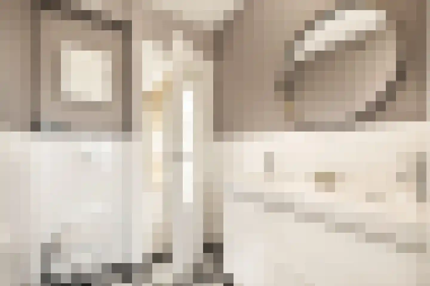 Lorentzkade 82 Haarlem thumbnail 49