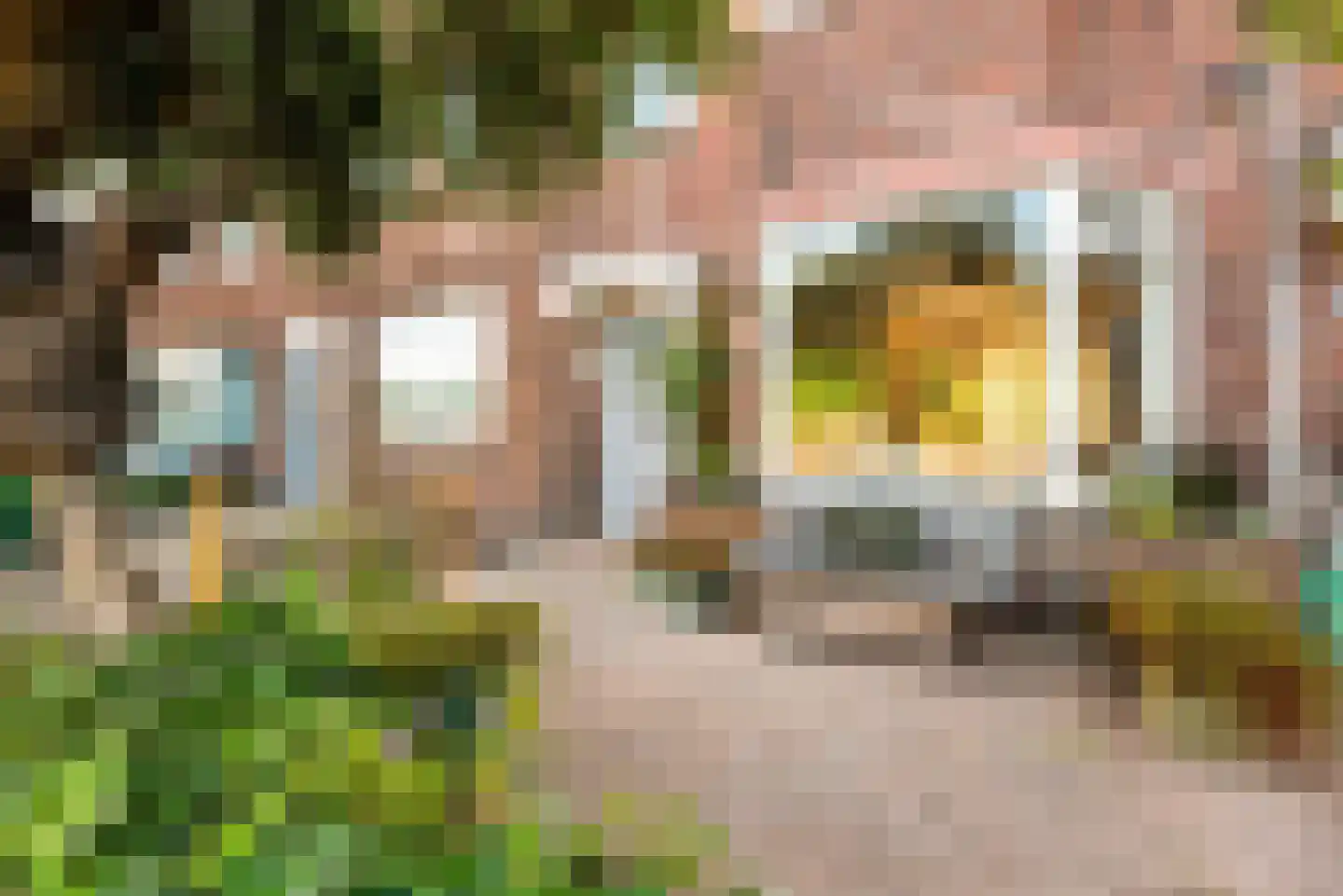 Lorentzkade 82 Haarlem thumbnail 5