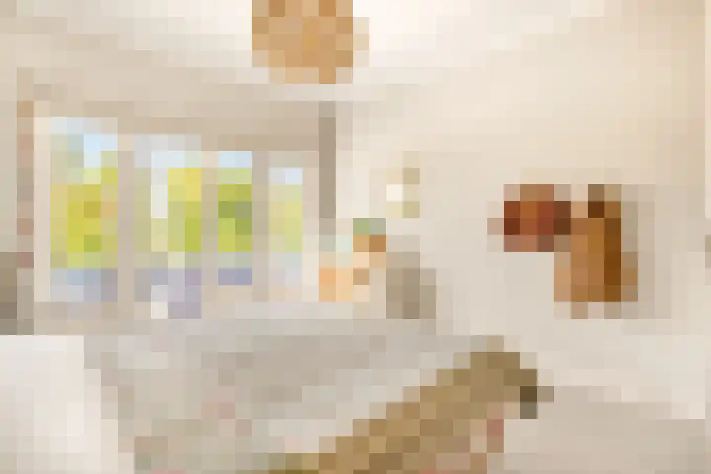 Lorentzkade 82 Haarlem thumbnail 52