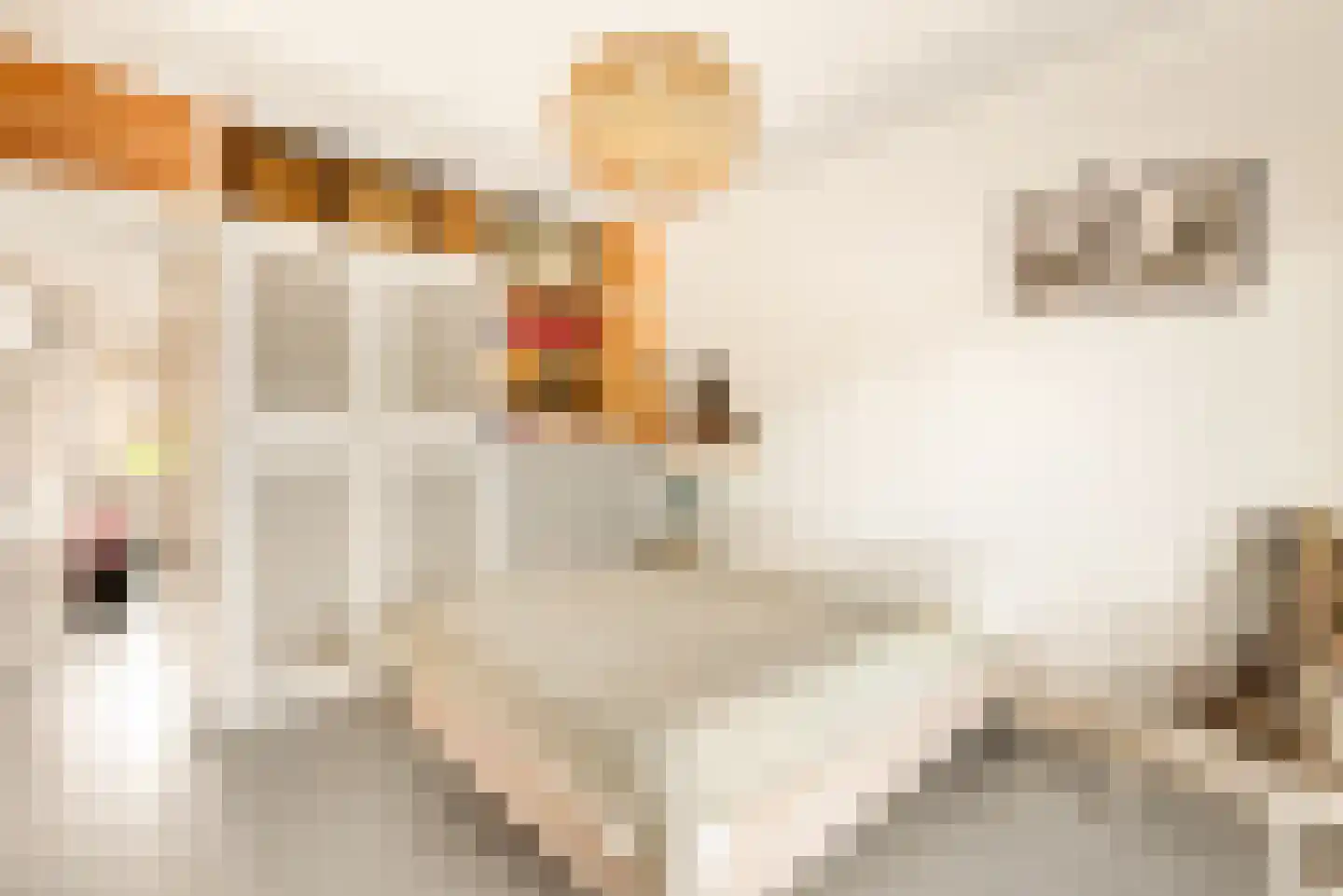 Lorentzkade 82 Haarlem thumbnail 53