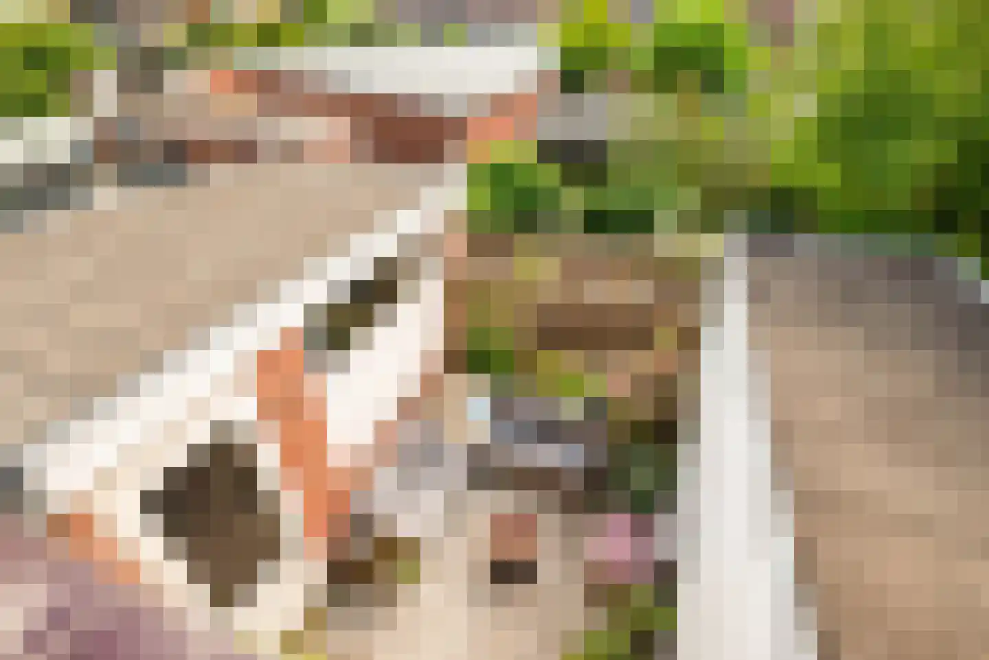 Lorentzkade 82 Haarlem thumbnail 62
