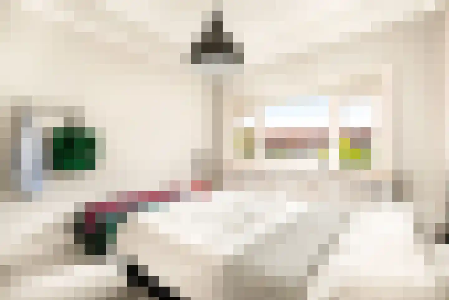 Lorentzkade 82 Haarlem thumbnail 63