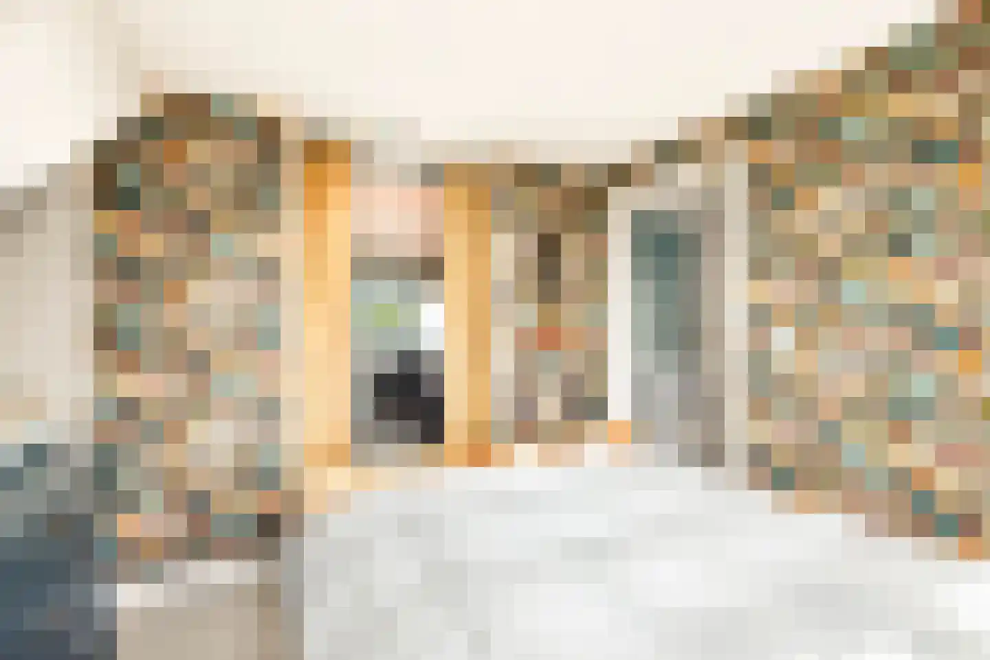 Lorentzkade 82 Haarlem thumbnail 71