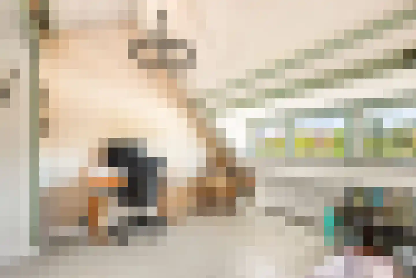 Lorentzkade 82 Haarlem thumbnail 73