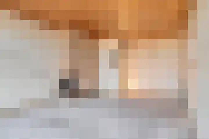 Lorentzlaan 106 Schiedam thumbnail 5