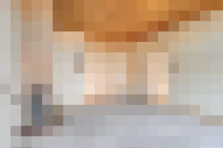 Lorentzlaan 106 Schiedam thumbnail 6