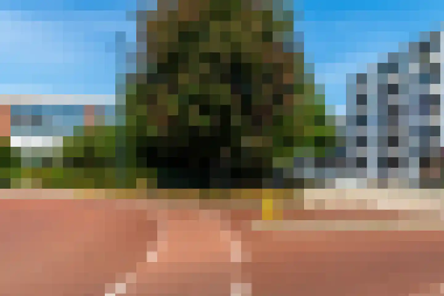 Lorentzlaan 108 Schiedam thumbnail 23