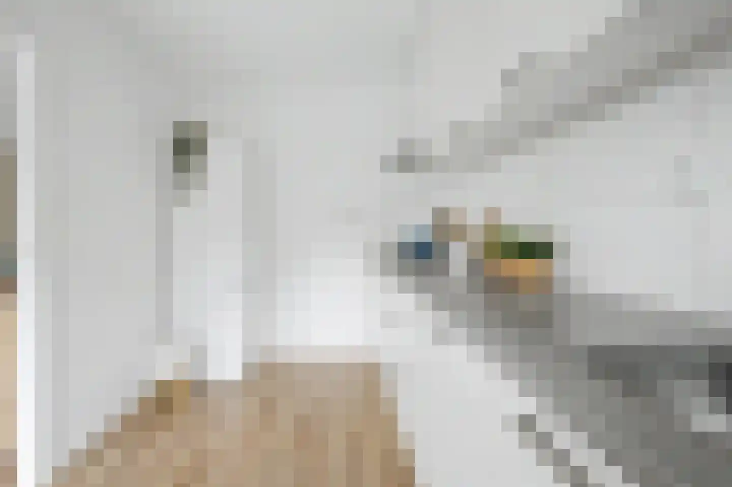 Lorentzlaan 12 Terneuzen thumbnail 14