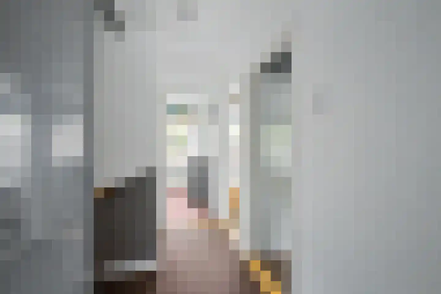 Lorentzlaan 12 Terneuzen thumbnail 17