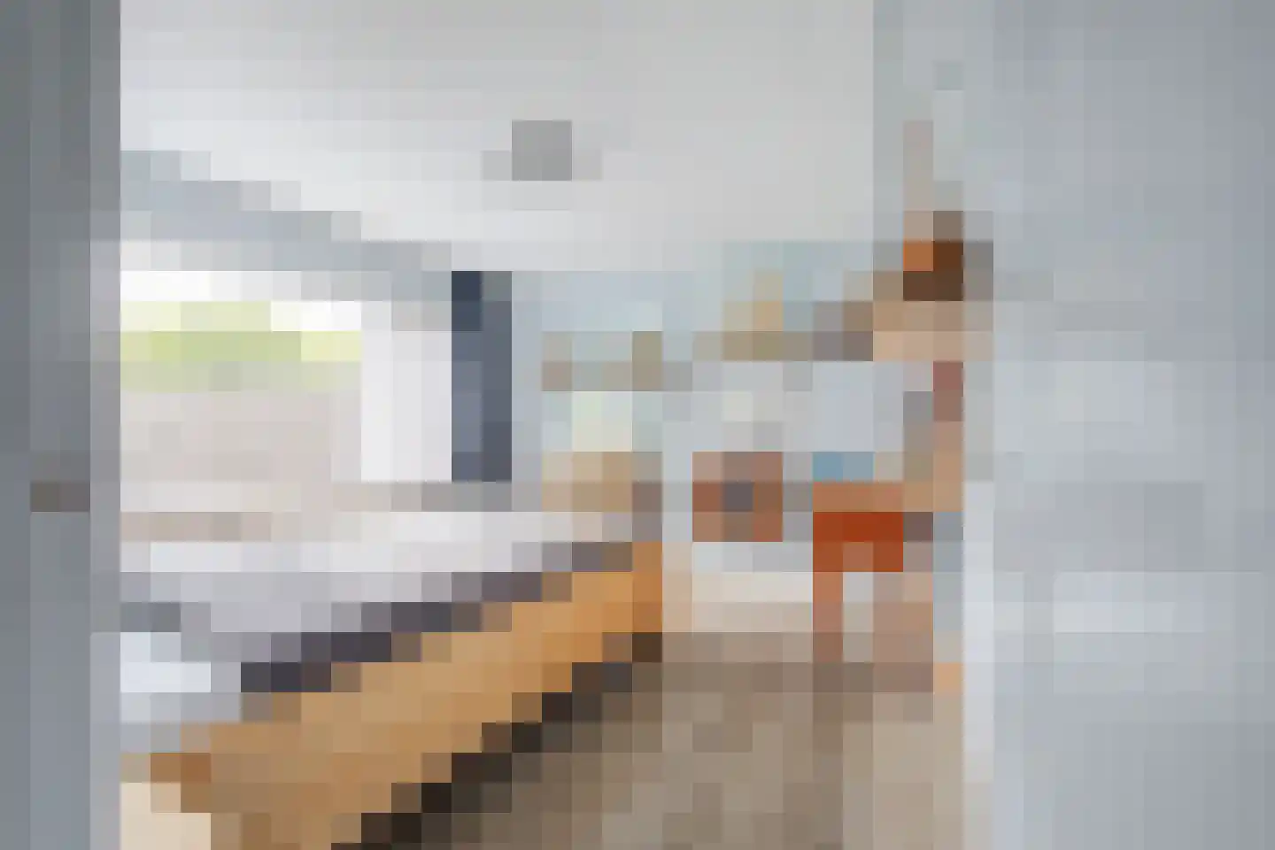 Lorentzlaan 12 Terneuzen thumbnail 21