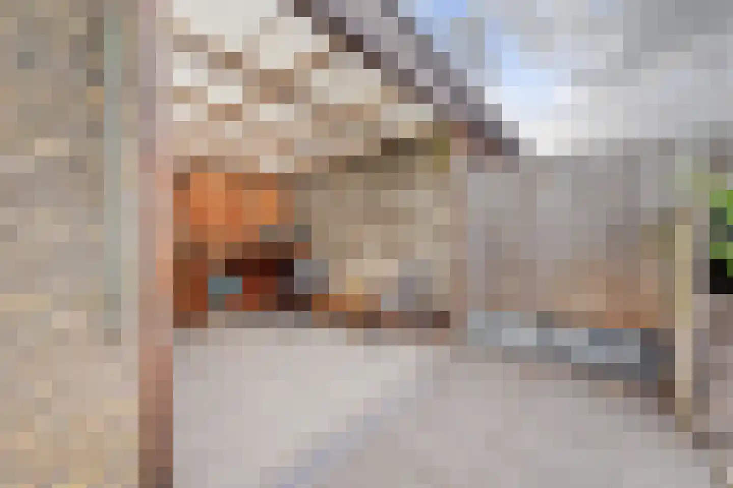 Lorentzlaan 12 Terneuzen thumbnail 31