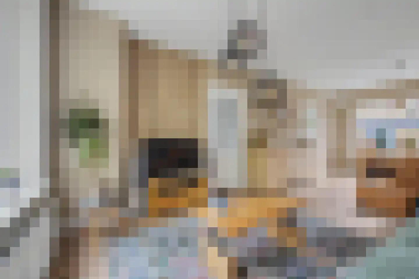 Lorentzlaan 12 Terneuzen thumbnail 8