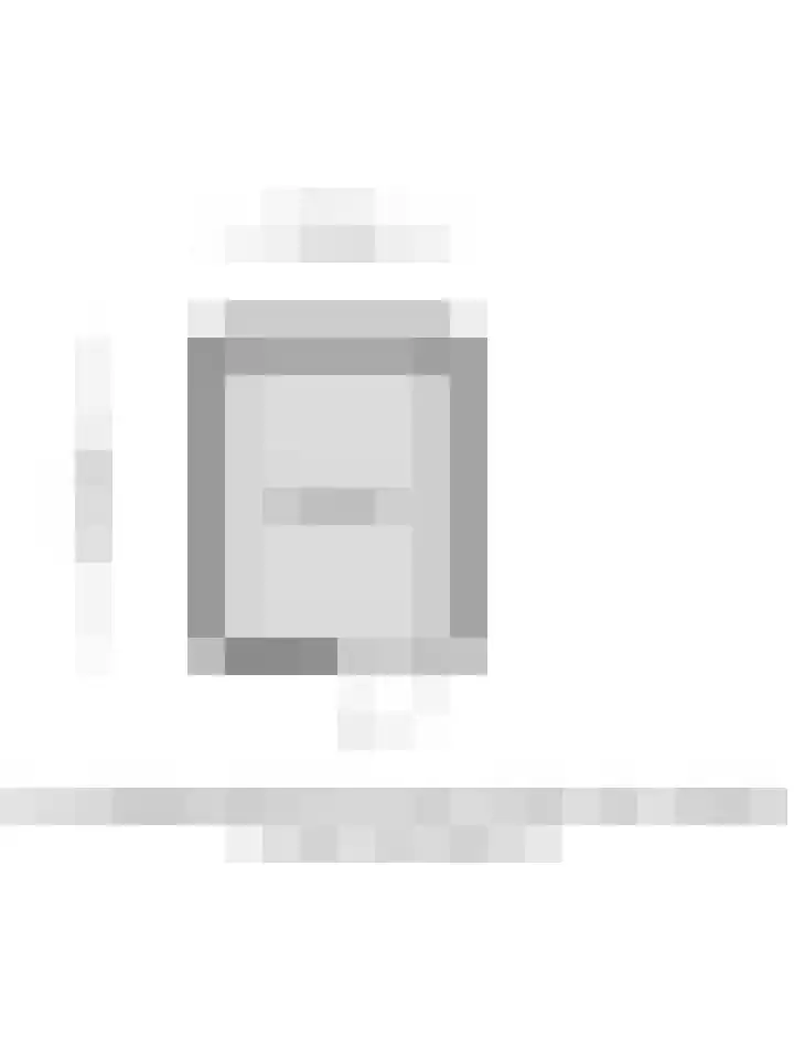 Lorentzlaan 124 Schiedam thumbnail 17