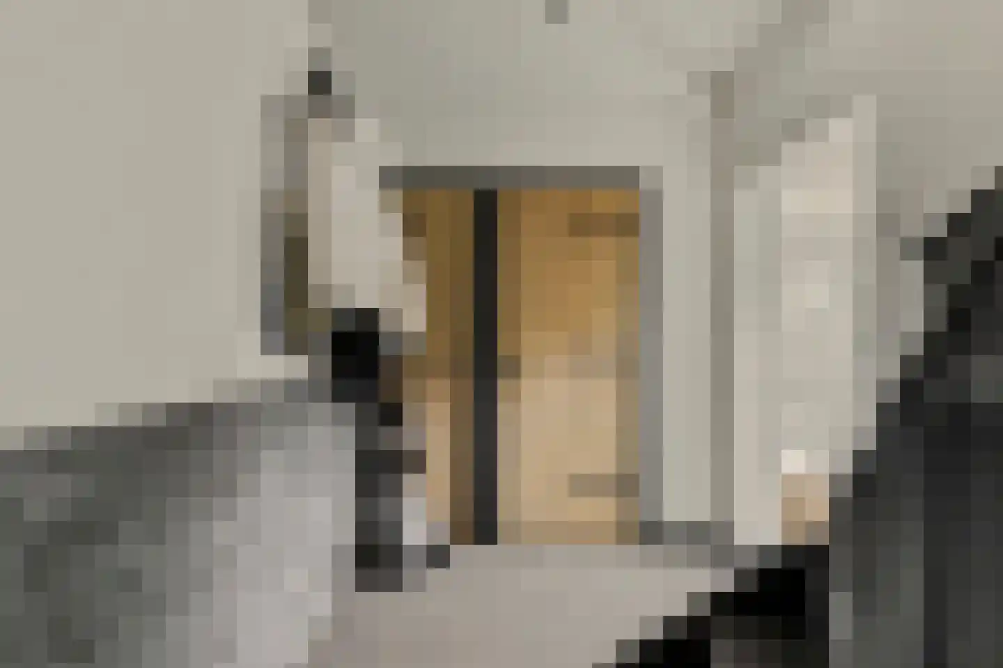 Lorentzlaan 13 Oosterhout thumbnail 10