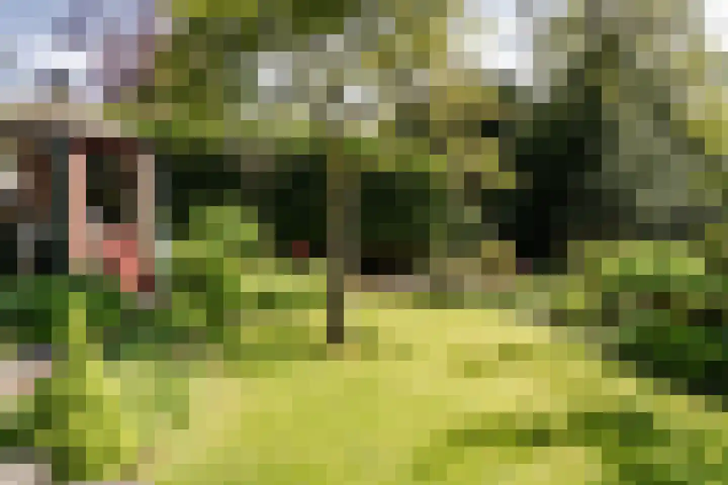 Lorentzlaan 15 Heemstede thumbnail 24