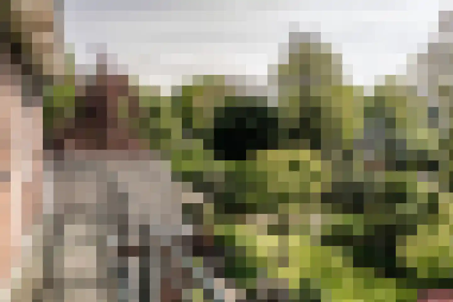 Lorentzlaan 15 Heemstede thumbnail 33
