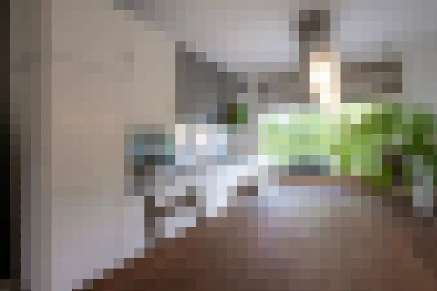 Lorentzlaan 15 Utrecht thumbnail 12