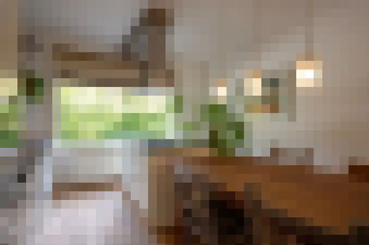 Lorentzlaan 15 Utrecht thumbnail 16