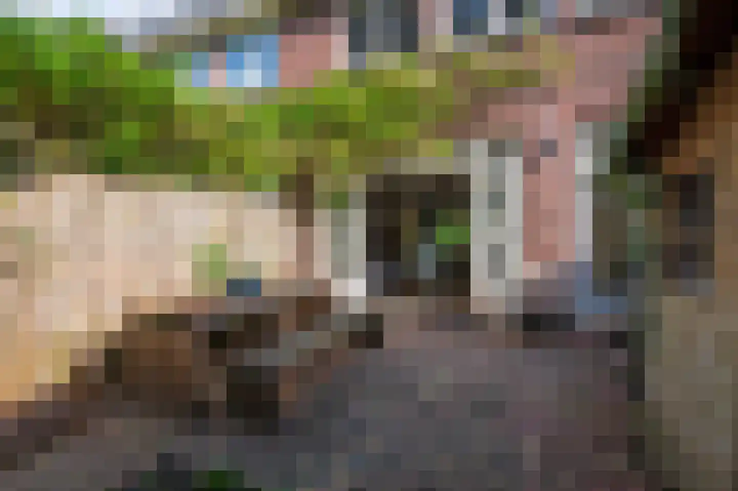 Lorentzlaan 15 Utrecht thumbnail 21