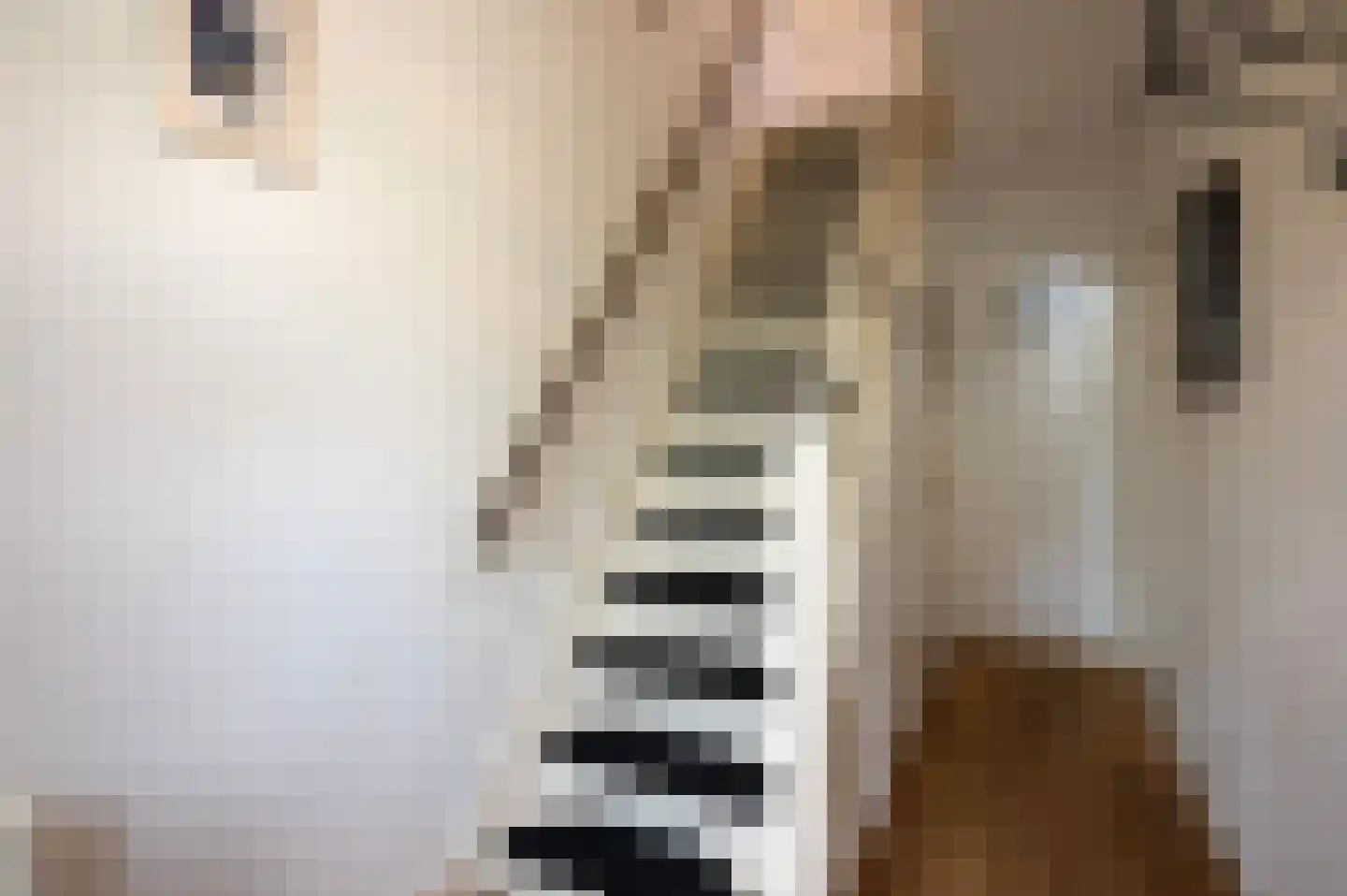Lorentzlaan 15 Utrecht thumbnail 25