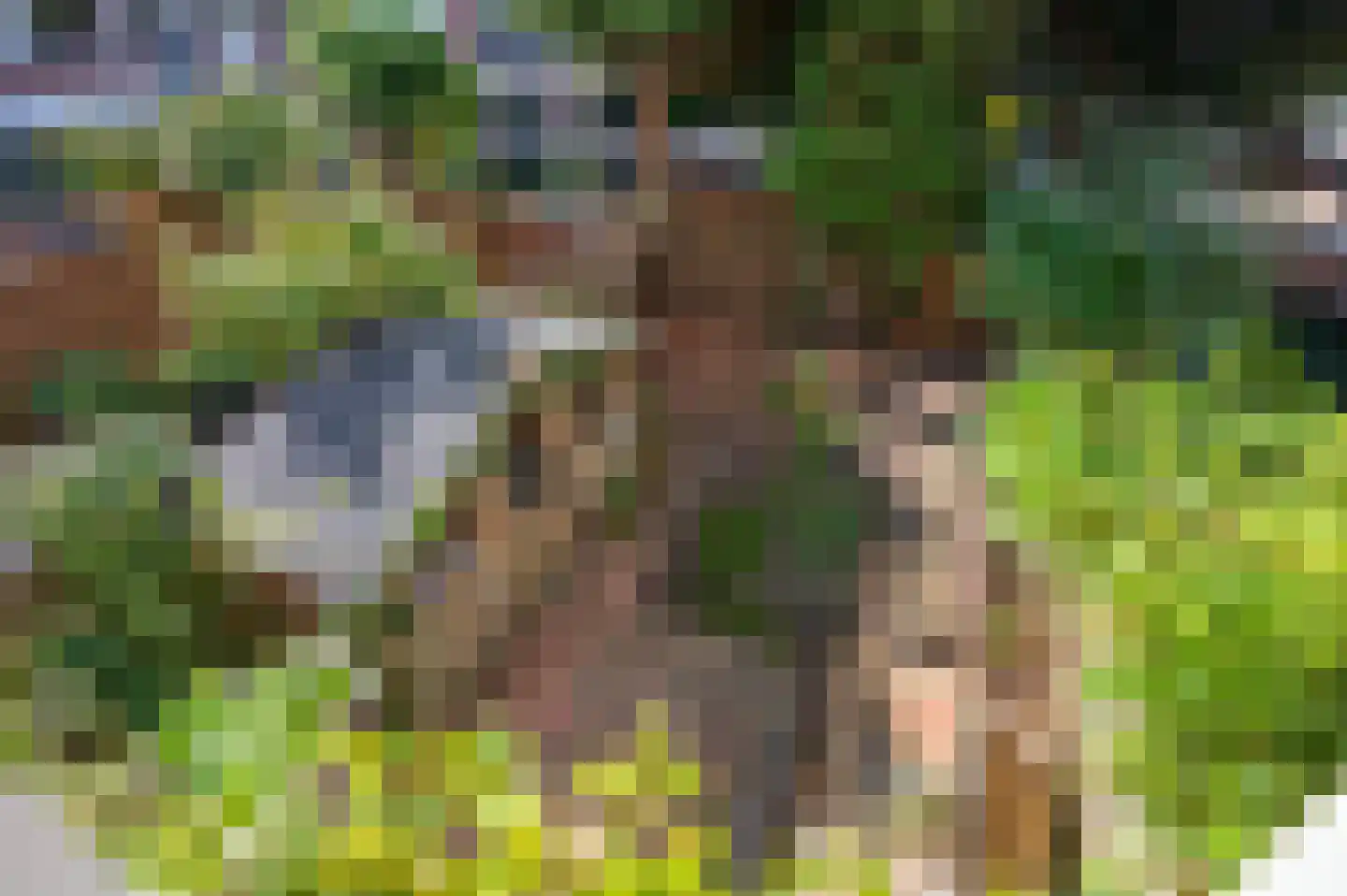 Lorentzlaan 15 Utrecht thumbnail 30