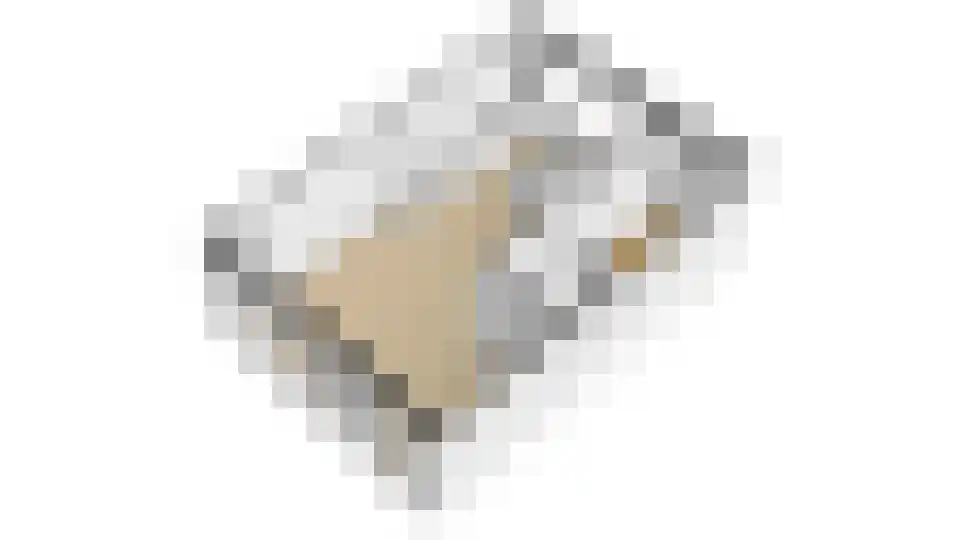 Lorentzlaan 15 Utrecht thumbnail 45