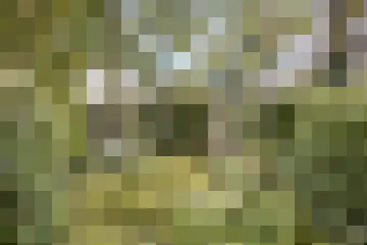 Lorentzlaan 16 Heemstede thumbnail 16