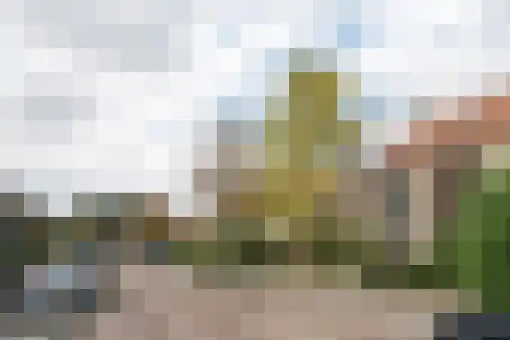 Lorentzlaan 16 Heemstede thumbnail 31