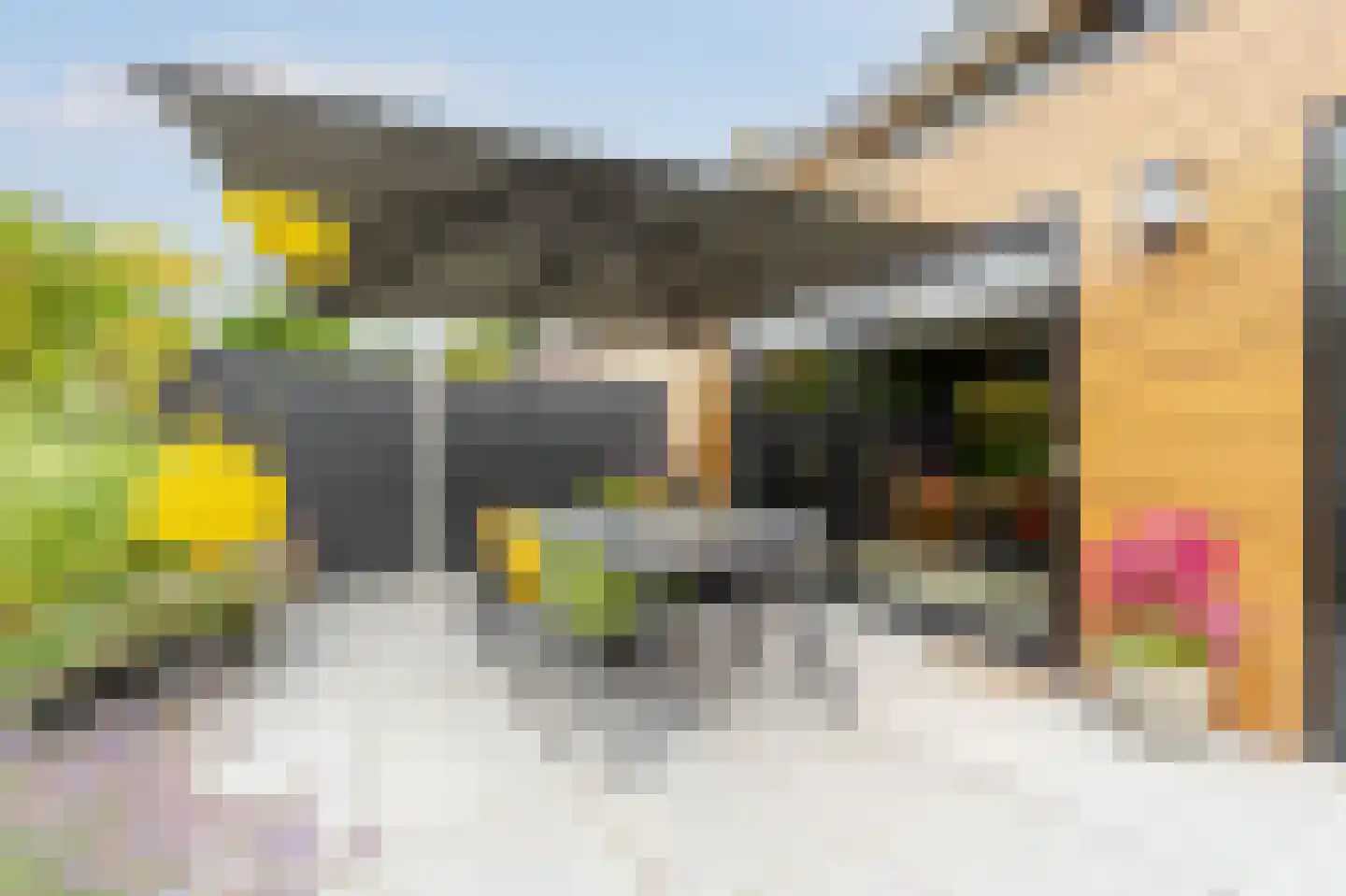 Lorentzlaan 18 Zwolle thumbnail 10
