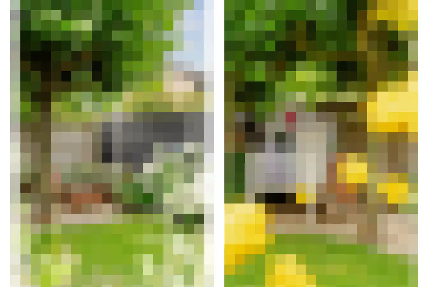Lorentzlaan 18 Zwolle thumbnail 9