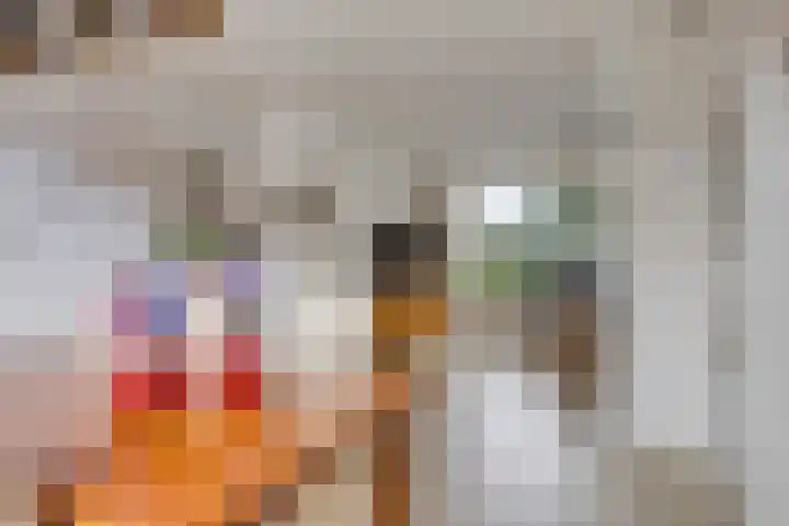 Lorentzlaan 32 Zwolle thumbnail 12