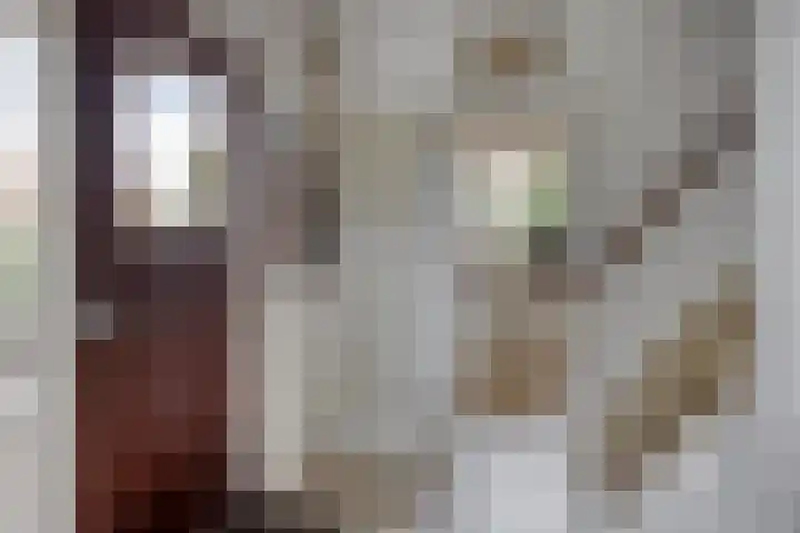 Lorentzlaan 32 Zwolle thumbnail 14