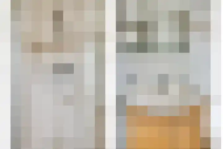 Lorentzlaan 32 Zwolle thumbnail 30